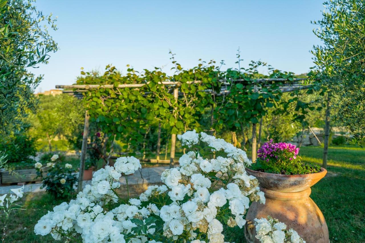 Agriturismo I Colli มอนตาโยเน ภายนอก รูปภาพ