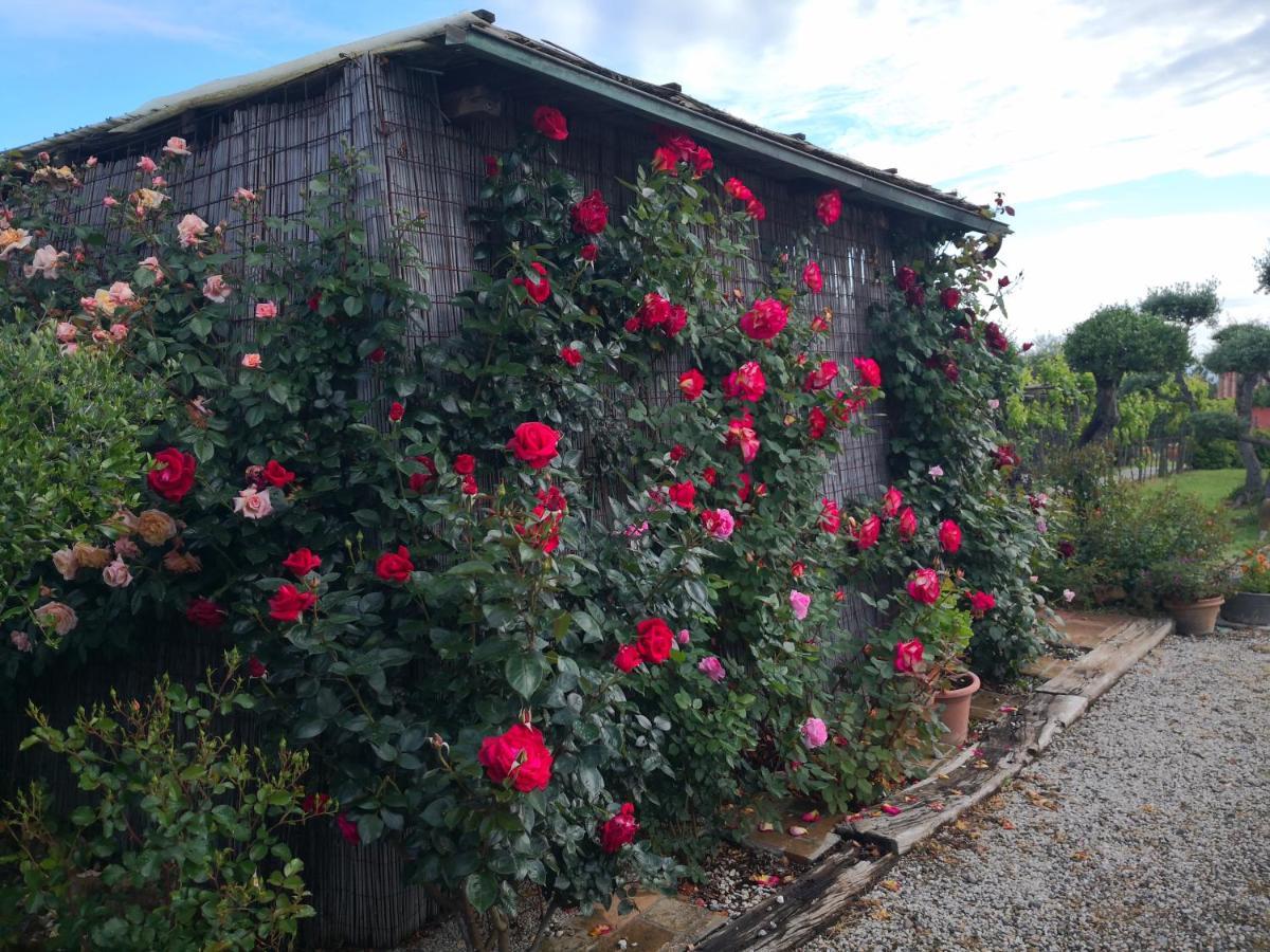Agriturismo I Colli มอนตาโยเน ภายนอก รูปภาพ