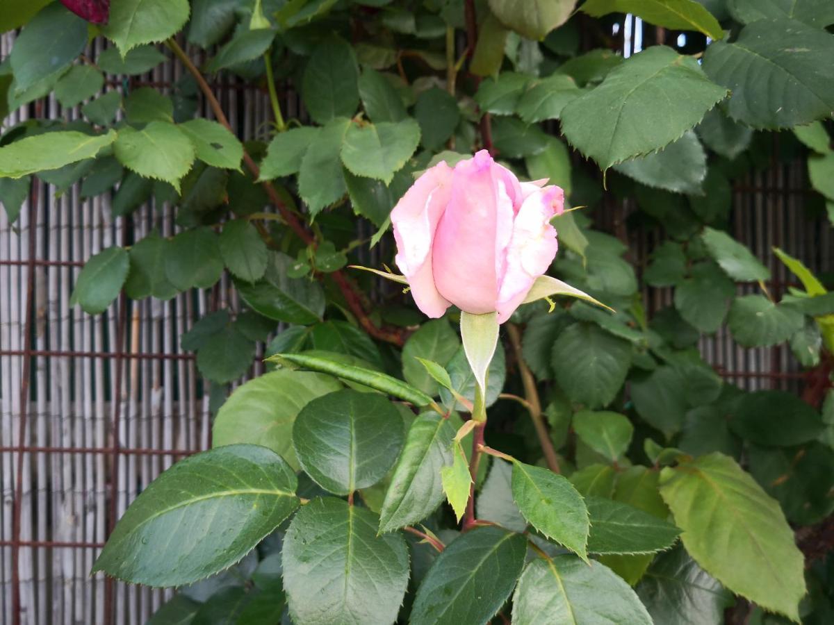 Agriturismo I Colli มอนตาโยเน ภายนอก รูปภาพ
