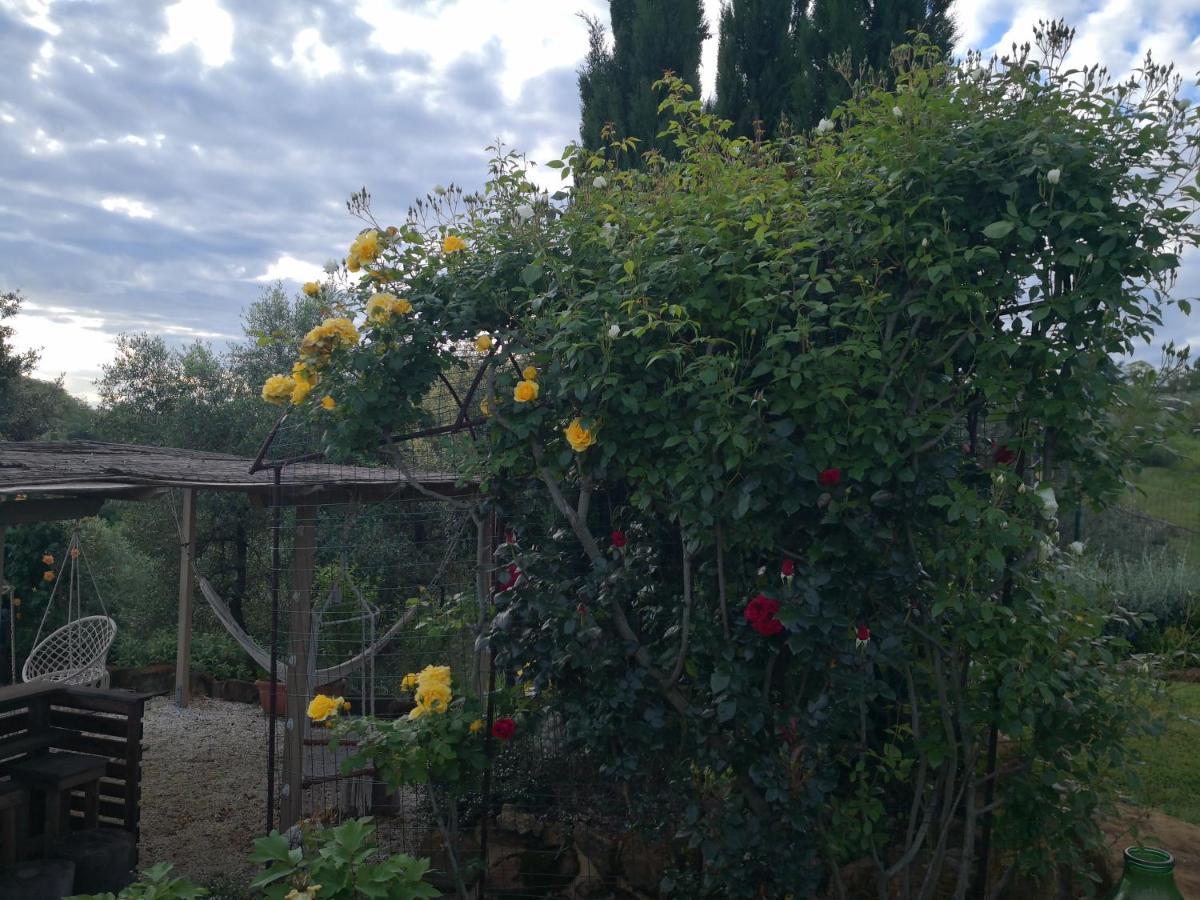 Agriturismo I Colli มอนตาโยเน ภายนอก รูปภาพ