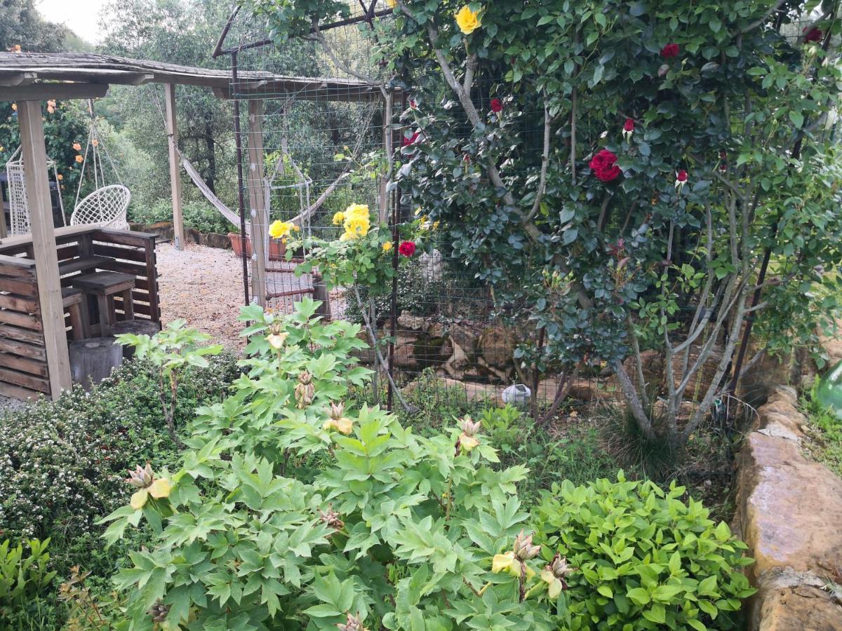 Agriturismo I Colli มอนตาโยเน ภายนอก รูปภาพ